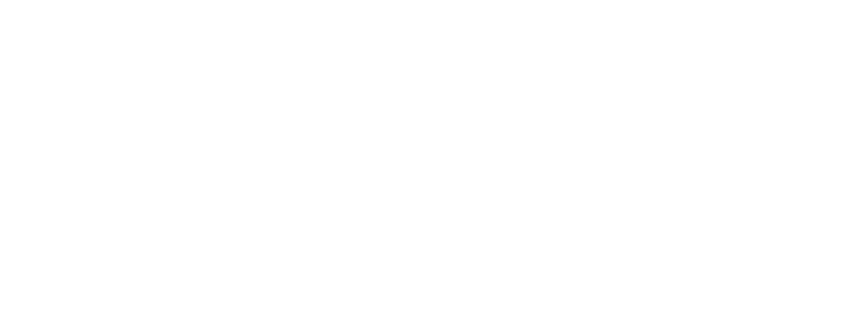 Flight Path